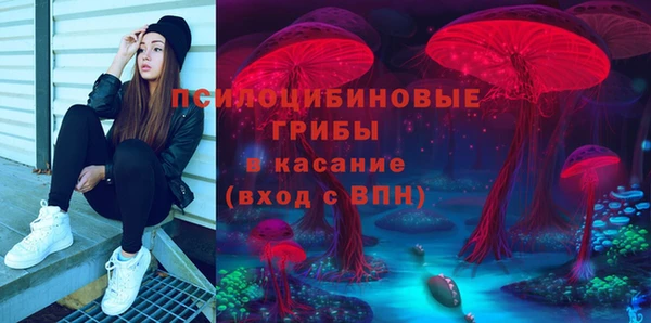 прущая мука Кинешма