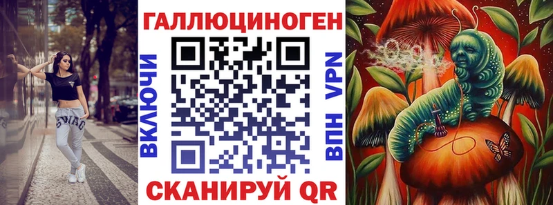 Купить закладки  Новоалтайск  Галлюциногенные грибы Psilocybe 